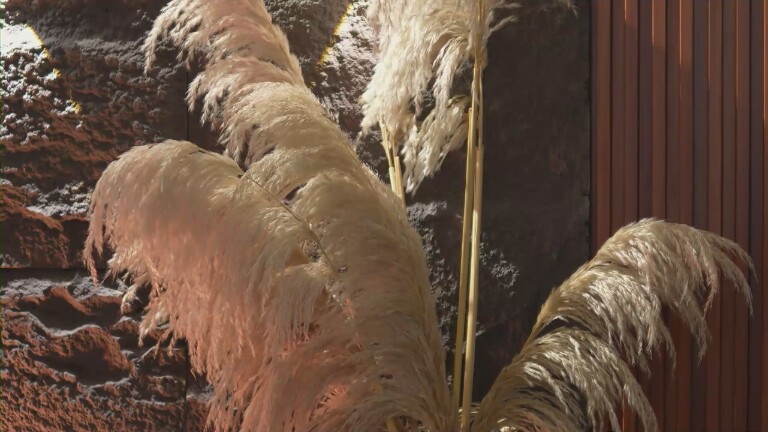 EmaMalkova's Streamate show and profile