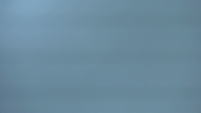 EmilyWeston's Streamate show and profile